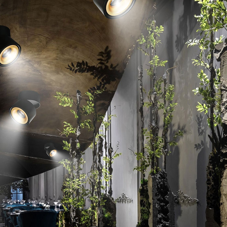 Потолочный светильник AGENDA White+Gold 10W 191836-26