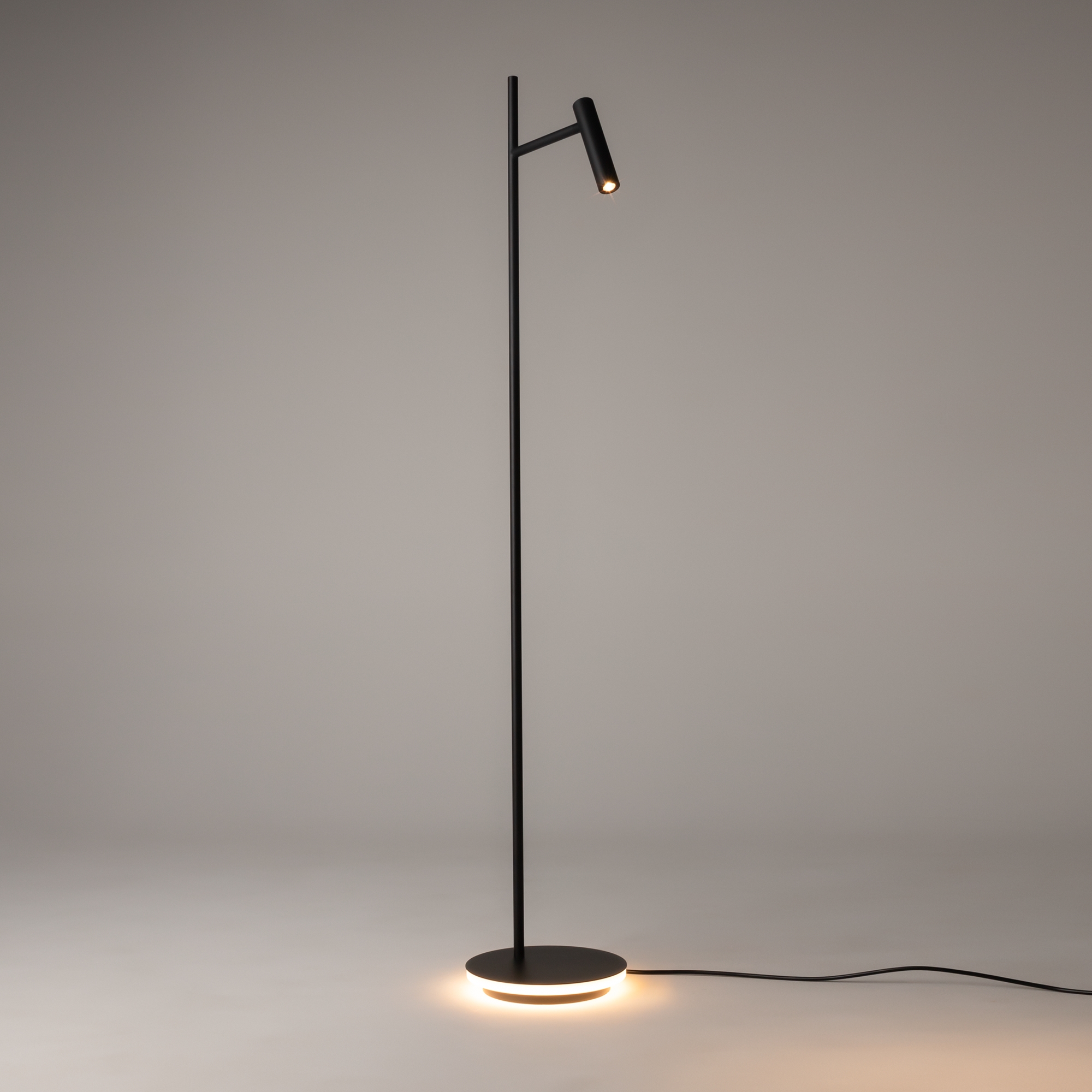 Напольный светильник (торшер) Maytoni Z010FL-L8B3K