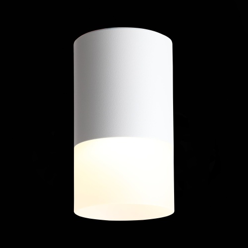ST100.502.05 Светильник потолочный Белый LED 1*5W 3000K 390Lm Ra&gt;80 120° D64xH110 170-240V Накладные светильники