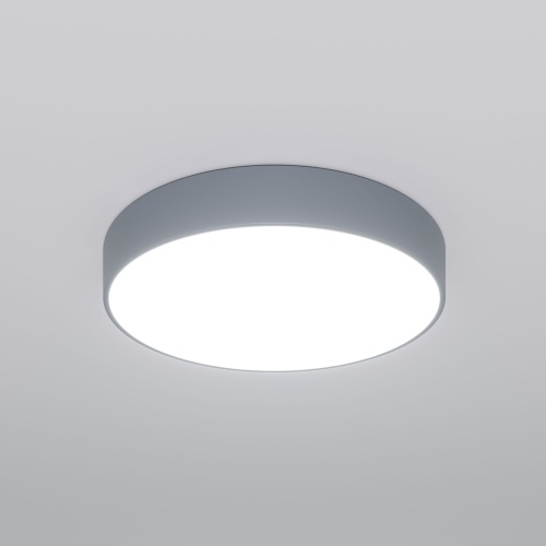 Потолочный светильник Eurosvet 90319/1 серый