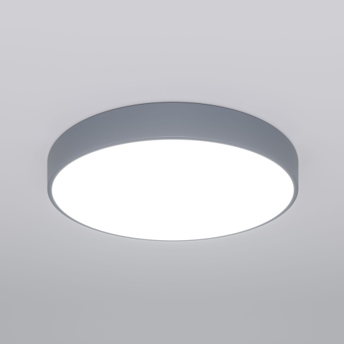 Потолочный светильник Eurosvet 90320/1 серый