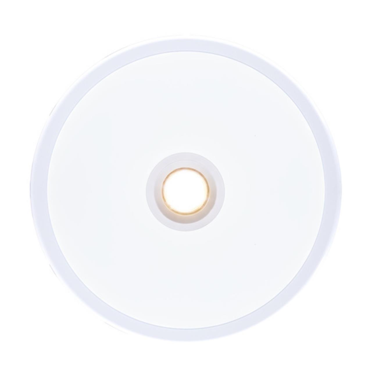 Точечный встраиваемый светильник Arte lamp A2517PL-2WH СВЕТИЛЬНИК ПОТОЛОЧНЫЙ