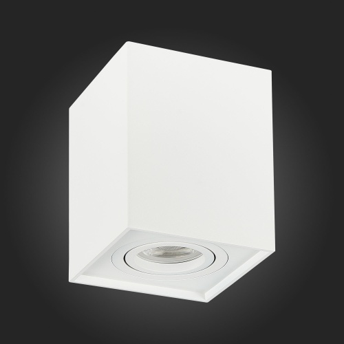 ST109.507.01 Светильник потолочный Белый GU10 1*50W  L100xW100xH123 220V Без ламп Накладные светильники