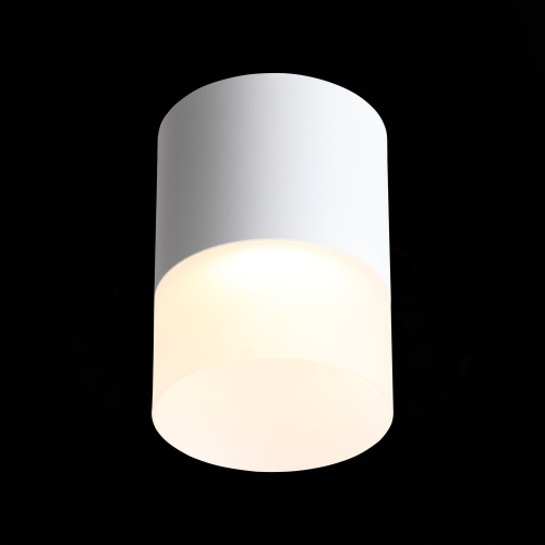 ST100.502.15 Светильник потолочный Белый LED 1*15W 3000K 1 170Lm Ra&gt;80 120° D118xH150 170-240V Накладные светильники