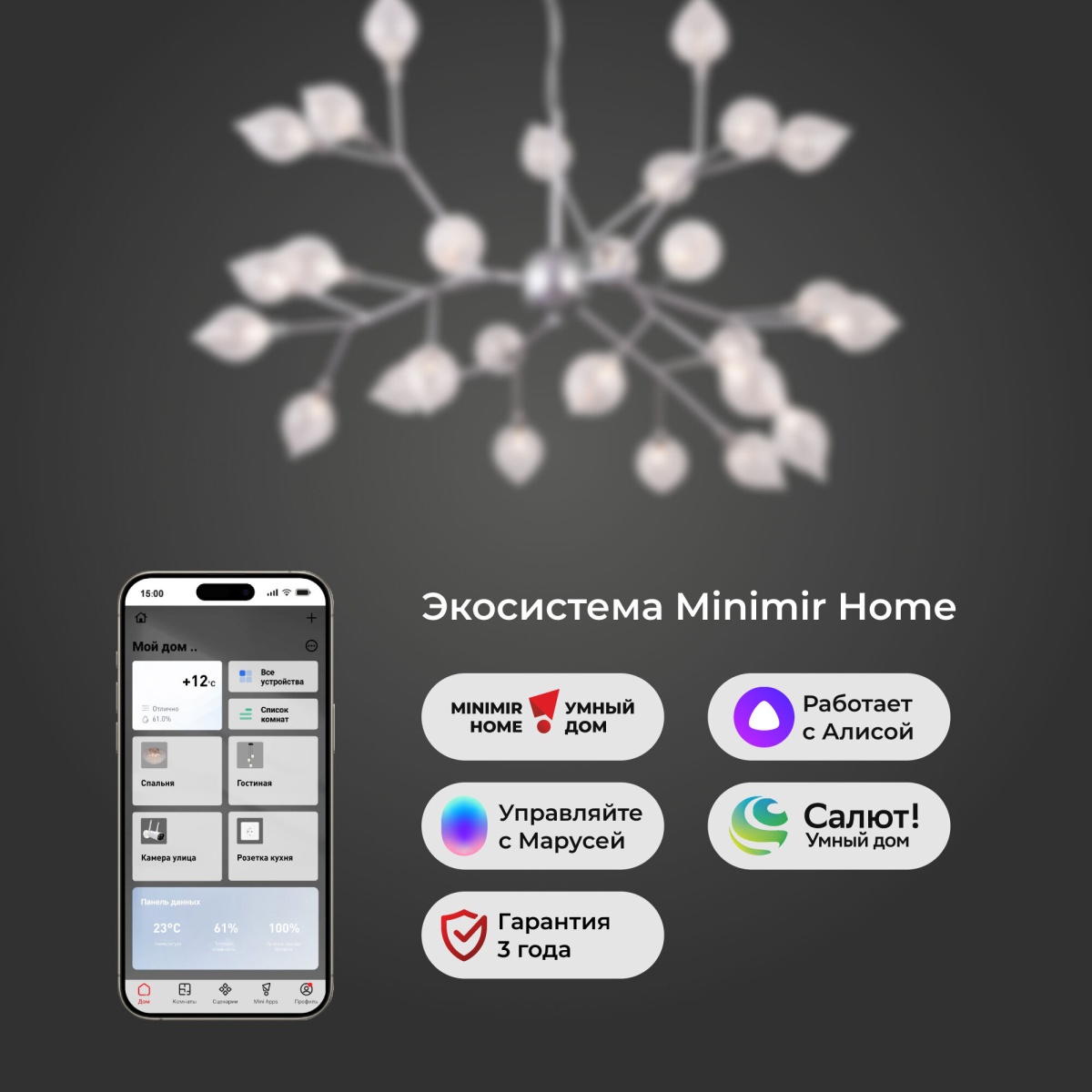 card-img