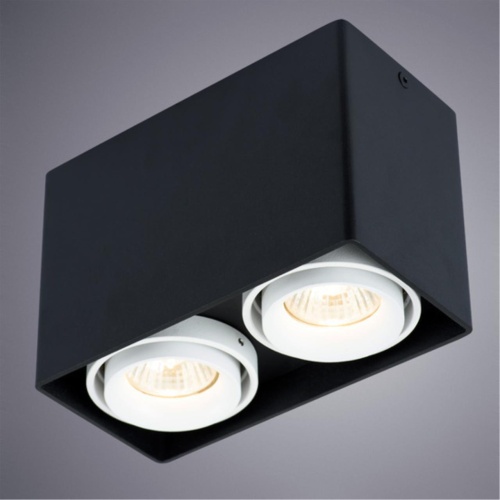 Накладной светильник Arte lamp A5655PL-2BK СВЕТИЛЬНИК ПОТОЛОЧНЫЙ
