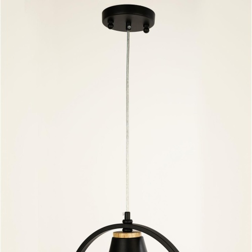 Подвес F-Promo 2938-1P, подвес, W300xH325/1325, 1xE27x40W, excluded