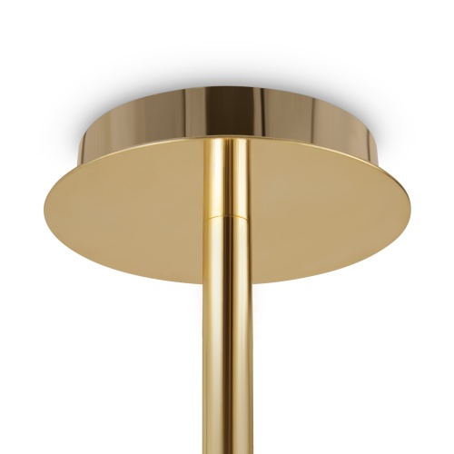 Потолочный светильник Freya FR1010CL-06G