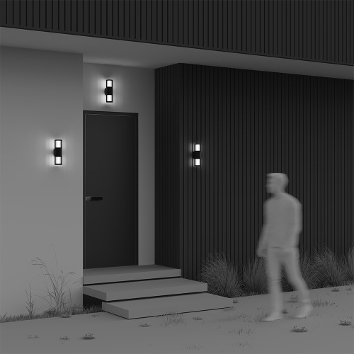 Уличный настенный светильник Outdoor O492WL-02GF