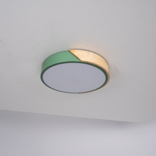 Потолочный светильник CLIP Green D30 193040-26