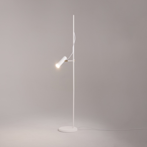 Напольный светильник (торшер) Maytoni MOD129FL-01W
