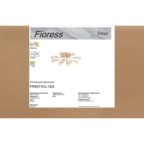 Люстра Freya FR5571CL-12G