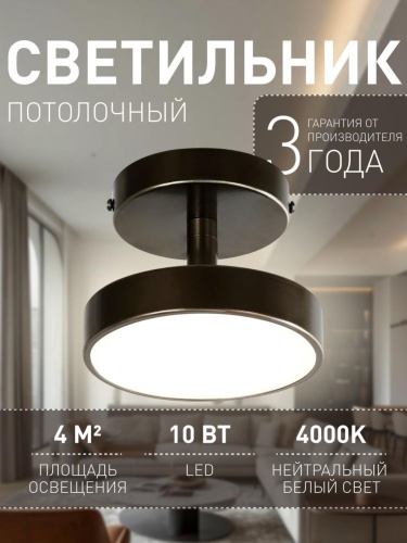 Потолочный светильник 3060-1P
