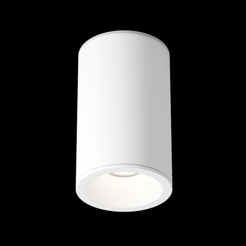 Потолочный светильник Technical C029CL-01-S-W