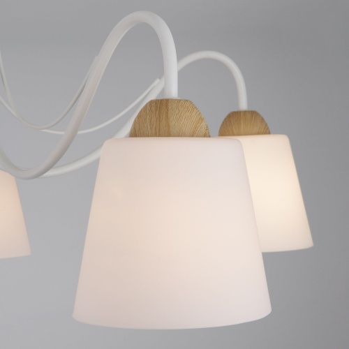 Потолочный светильник Eurosvet 70062/5 белый