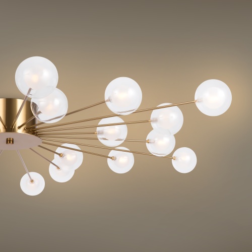 Потолочный светильник Freya FR5242CL-24BS1