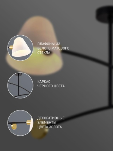 Потолочная люстра 3045-2P