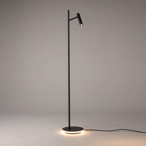 Напольный светильник (торшер) Maytoni Z010FL-L8B3K