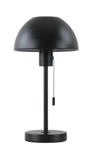 Лампа настольная Moderli V11320-1T Aspen