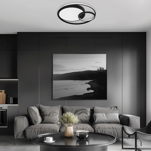 Потолочный светильник Eurosvet 90254/1 черный