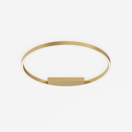 Потолочный светильник Maytoni MOD058CL-L50BSK