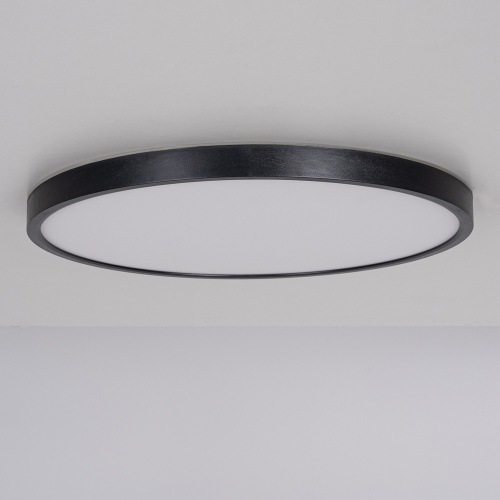 Потолочный светильник EXTRASLIM D40 Black 140667-26