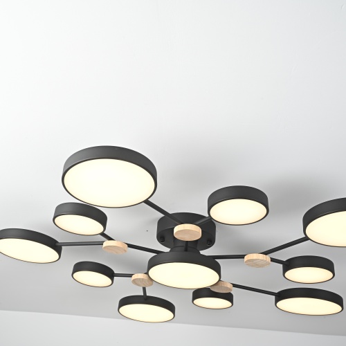 Потолочная люстра GAMMA D102 Black 223770-23