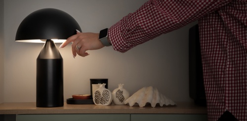 Настольный светильник Freya FR5218TL-02N