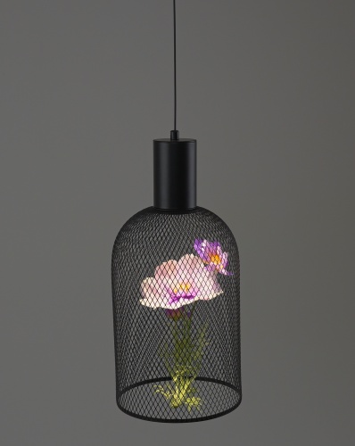 Светильник подвесной светодиодный Moderli V11874-PL Ophelia