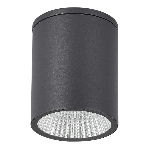 SL9514.712.01 Светильник уличный потолочный ST-Luce серый/белый LED 1*12W 3000K/4000K/6500K TUBO