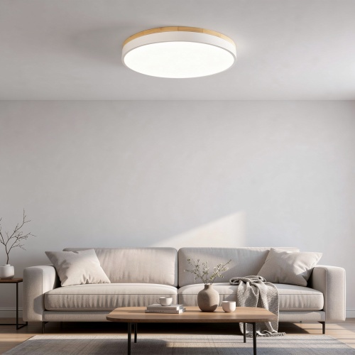 Потолочный светильник DISC DH D27 White 189892-26