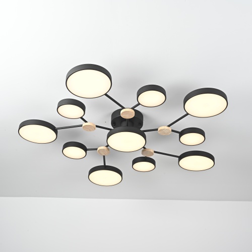 Потолочная Люстра Gamma D102 Black от Imperiumloft 223770-23
