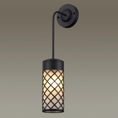 Настенный светильник Odeon light Dunes 4834/1W