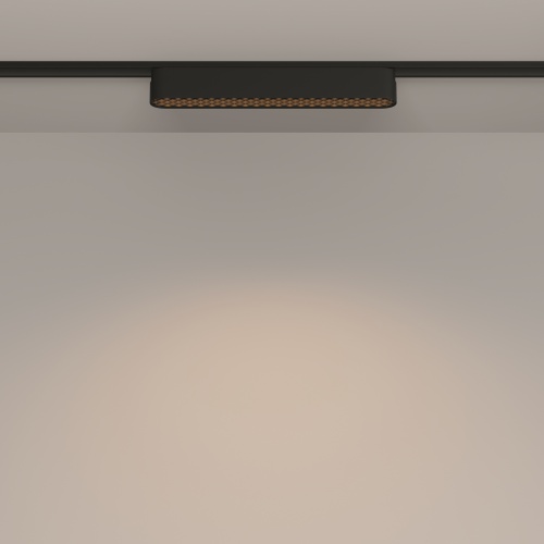 Трековый светильник Technical TR084-1-12W3K-B