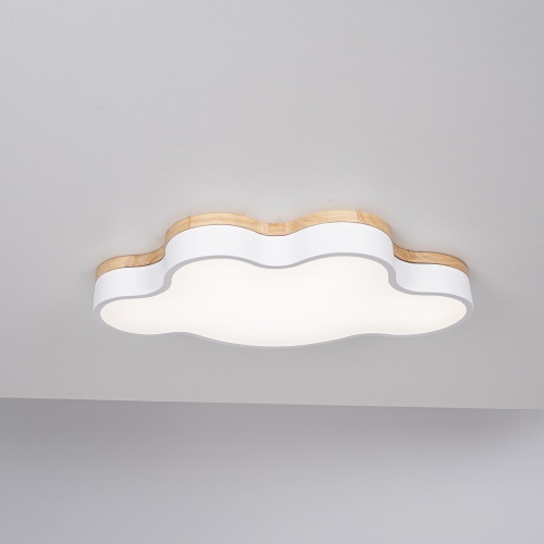 Потолочный светильник CLOUD ECO D63 White 189501-26