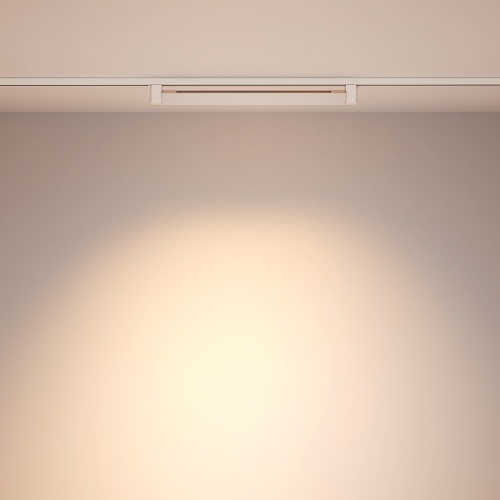 Трековый светильник Technical TR010-1-20W3K-M-W