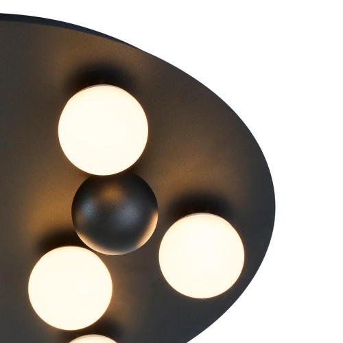 Потолочный светильник F-Promo 4693-8C, потолочный светильник, D430xH90, LEDx40W, 3900LM, 3000-6000K, included, remote control