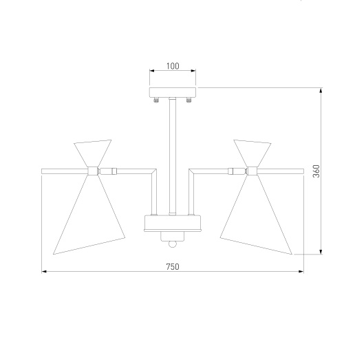 Потолочный светильник Eurosvet 70114/5 белый Smart