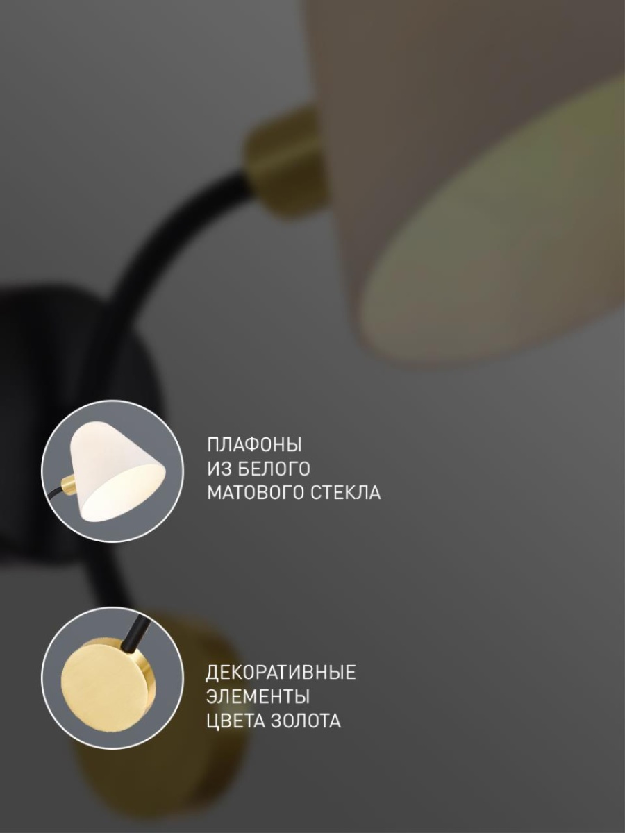 card-img