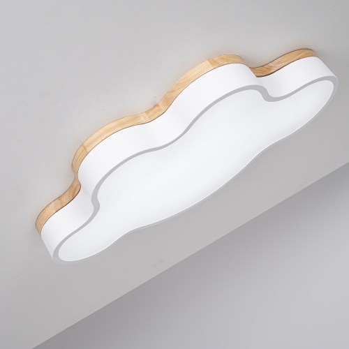 Потолочный светильник CLOUD ECO D63 White 189501-26