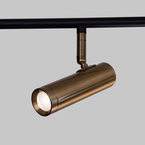 Потолочный светильник Eurosvet 20252/6 LED черный/латунь