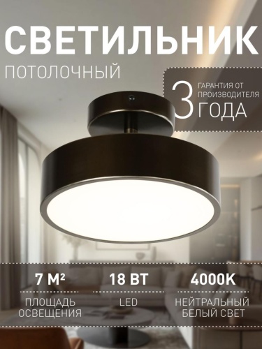Потолочный светильник 3060-2P