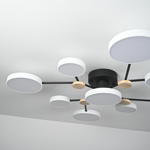 Потолочная люстра GAMMA D98 White 223762-23