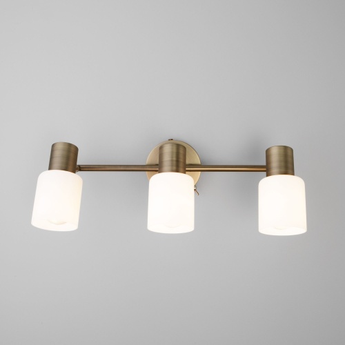 Настенный светильник Eurosvet 20089/3 бронза