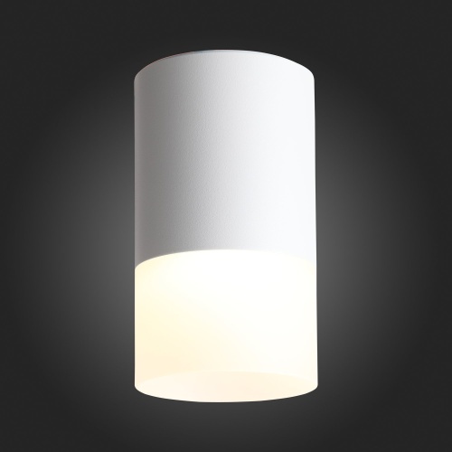 ST100.502.05 Светильник потолочный Белый LED 1*5W 3000K 390Lm Ra&gt;80 120° D64xH110 170-240V Накладные светильники