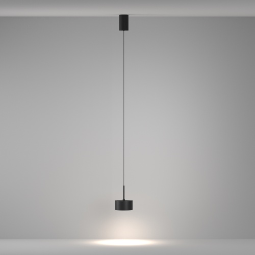 Подвесной светильник Maytoni P102PL-12W4K-B