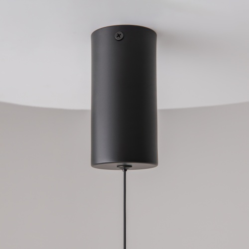 Подвесной светильник Maytoni P022PL-L20B3K