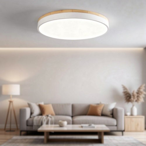 Потолочный светильник DISC DH D27 White 189892-26