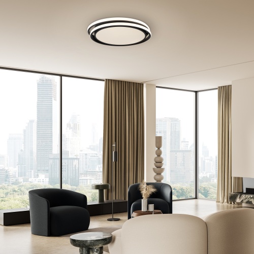 Потолочный светильник Freya FR10031CL-L98B