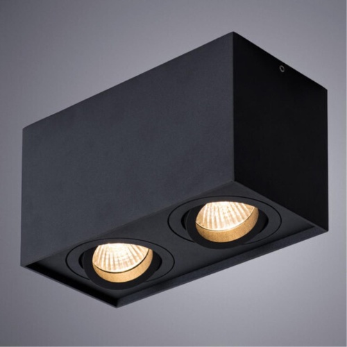 Накладной светильник Arte lamp A5544PL-2BK СВЕТИЛЬНИК ПОТОЛОЧНЫЙ